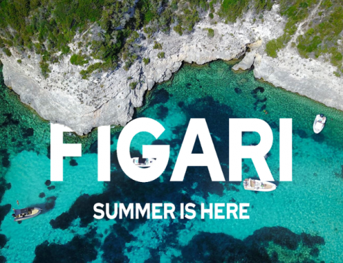 Affréter un jet privé pour votre séjour à Figari